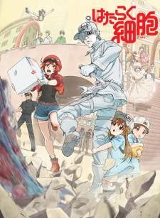 Hataraku Saibou Sub Indo