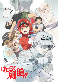 Hataraku Saibou Season 2 Sub Indo